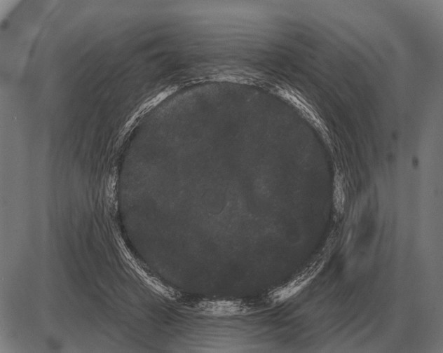 X0000085040449200703261316