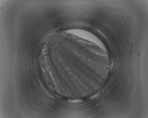 X0000085040452200703261316