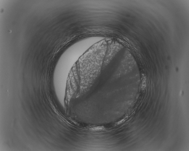 X0000085040456200703261316