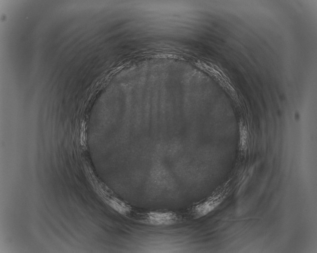 X0000085040457200703261316