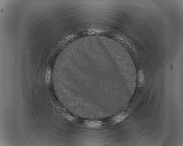 X0000085040463200703261316