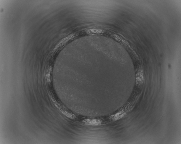 X0000085040464200703261316