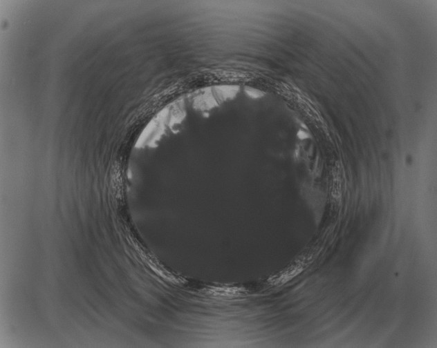 X0000085040465200703261316