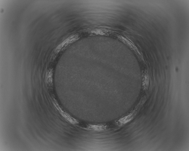 X0000085040466200703261316