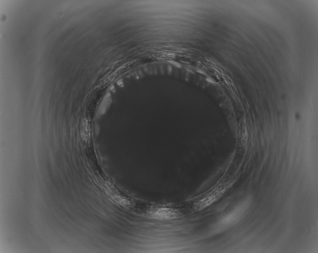 X0000085040467200703261316