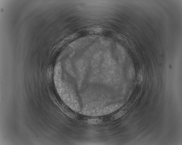 X0000085040468200703261316