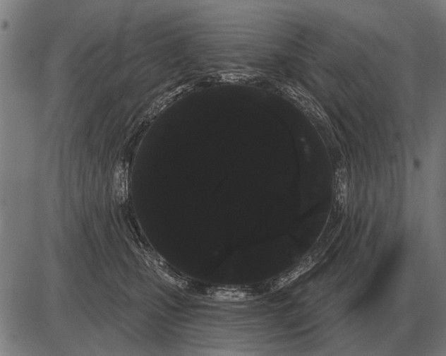 X0000085040471200703261316