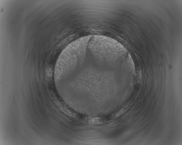 X0000085040472200703261316