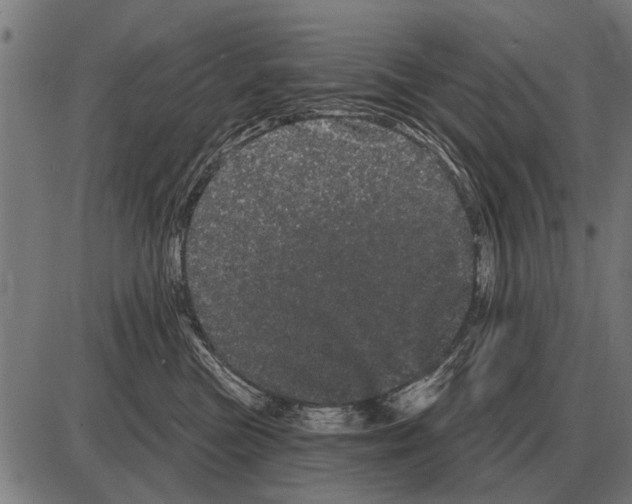 X0000085040473200703261316