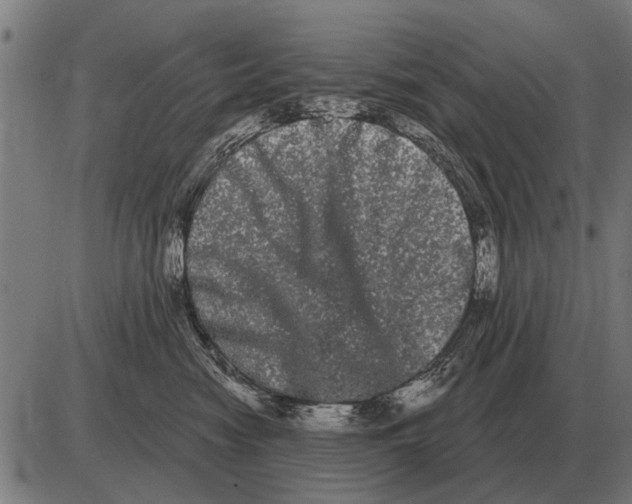 X0000085040474200703261316