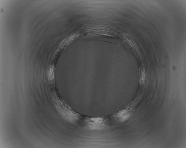 X0000085040478200703261317