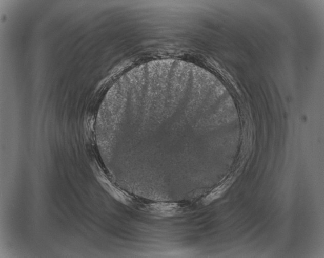 X0000085040480200703261317