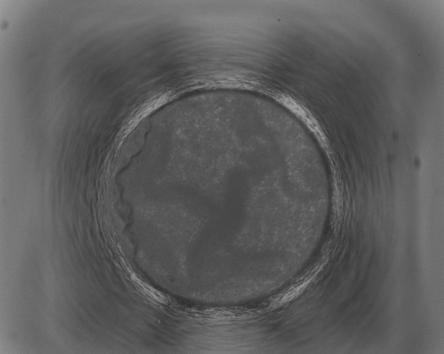 X0000085040481200703261316
