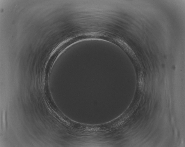 X0000085040484200703261316
