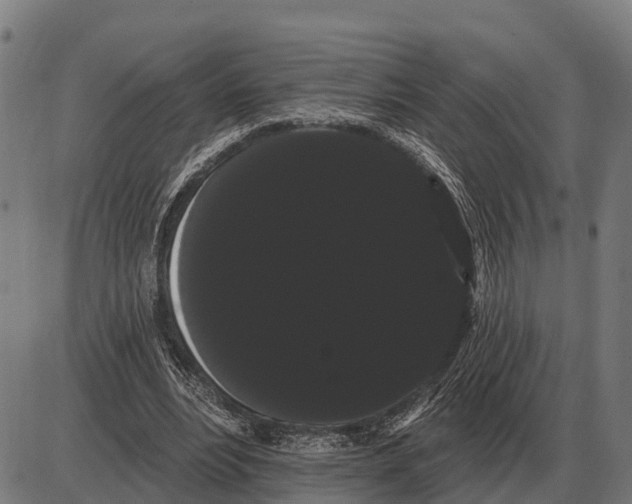 X0000085040488200703261316