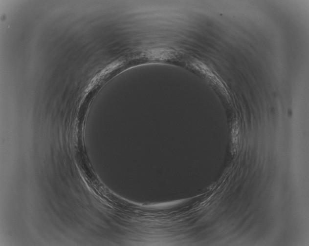 X0000085040492200703261316