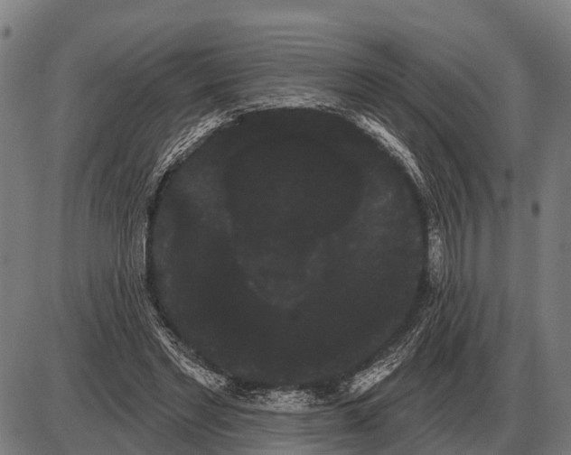 X0000085040493200703261316
