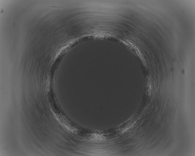 X0000085040496200703261315