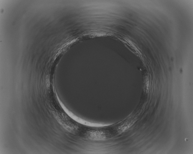 X0000085040500200703261315