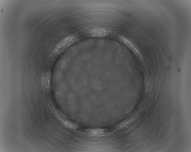 X0000085040501200703261315