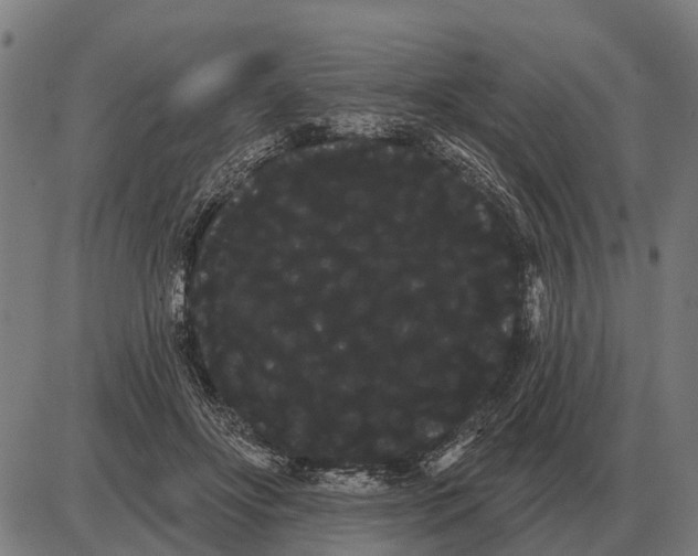 X0000085040502200703261315