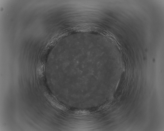 X0000085040503200703261315
