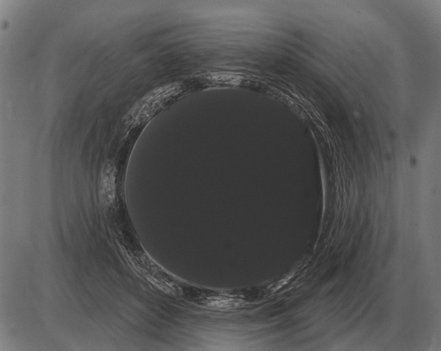 X0000085040504200703261315