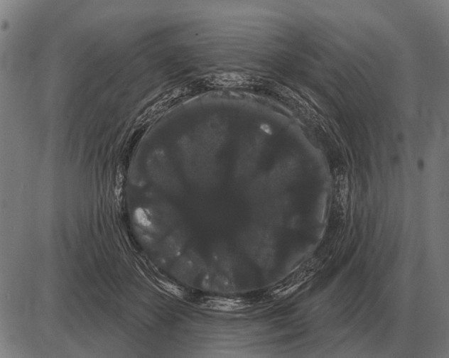 X0000085040507200703261315