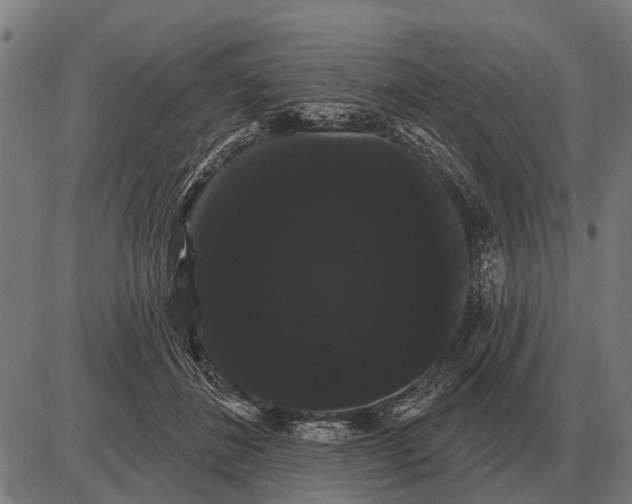 X0000085040508200703261315