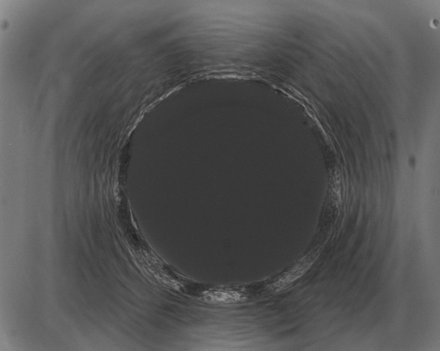 X0000085040512200703261315