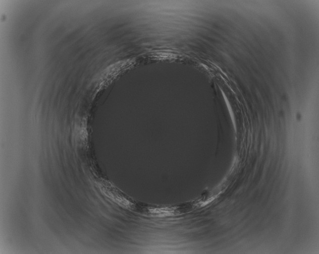 X0000085040516200703261315