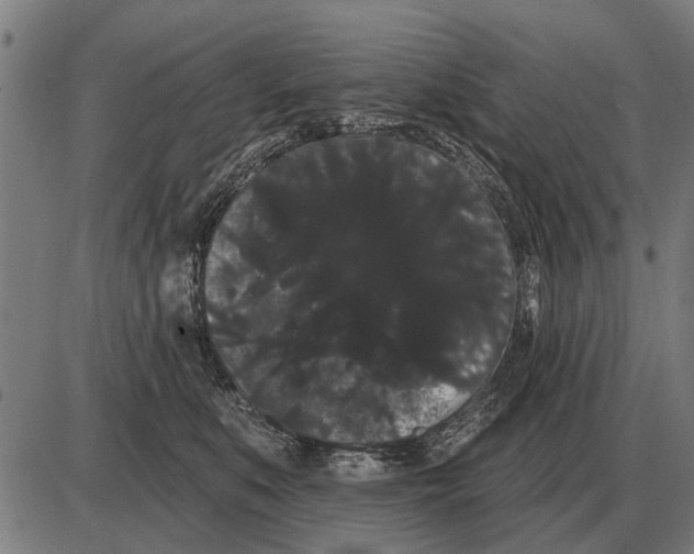 X0000085040519200703261315