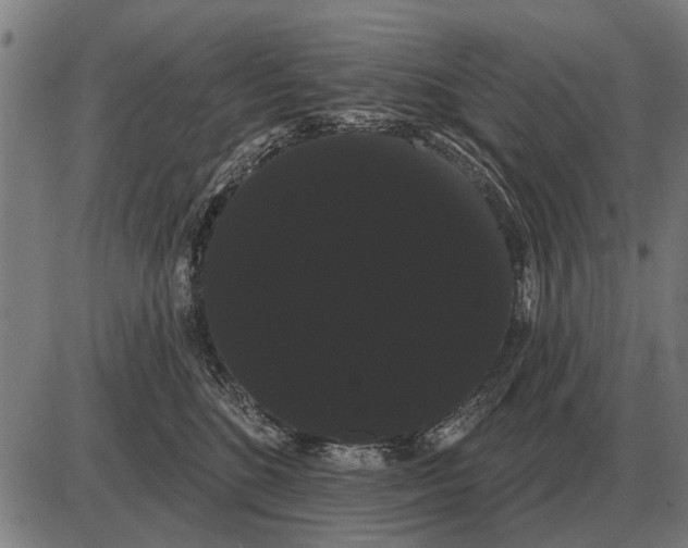 X0000085040520200703261315