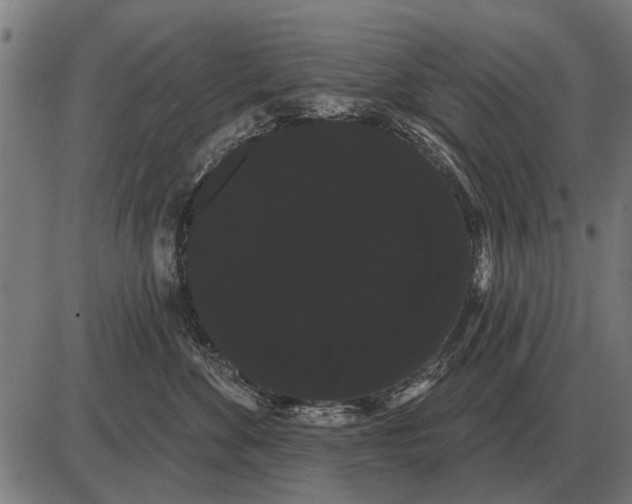 X0000085040524200703261315