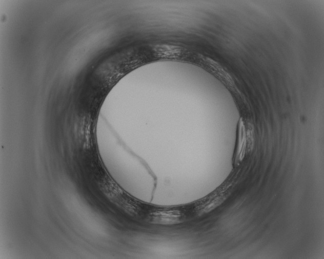 X0000085040525200703261315