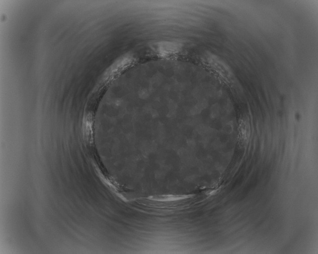 X0000085040527200703261315