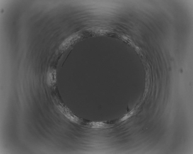 X0000085040528200703261315