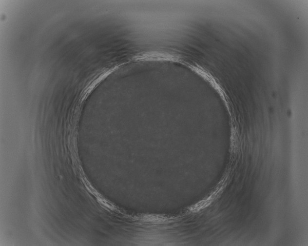 X0000085040529200703261314