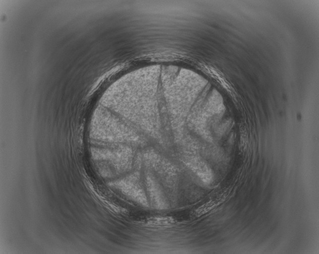 X0000085040543200703261314