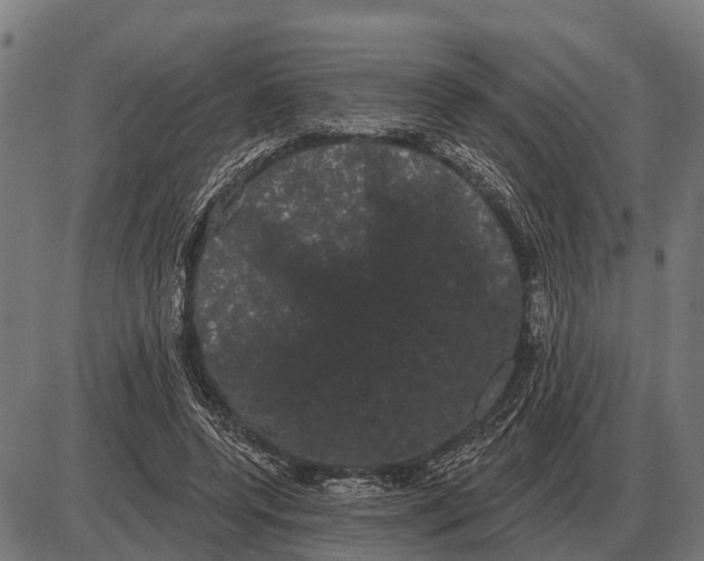 X0000085040544200703261314