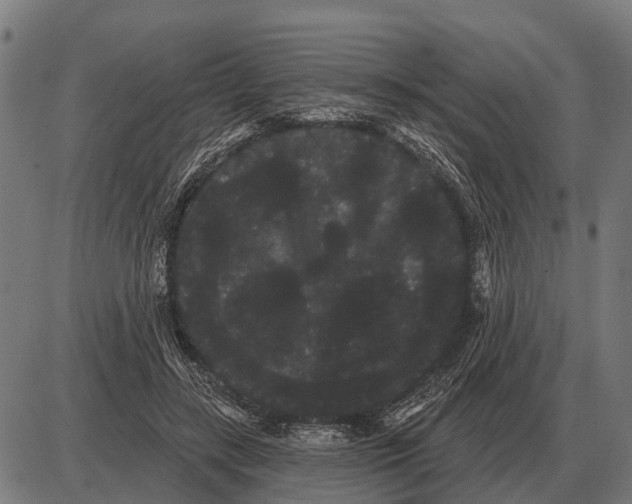 X0000085040547200703261314