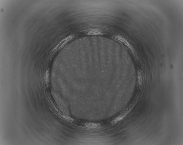X0000085040549200703261314