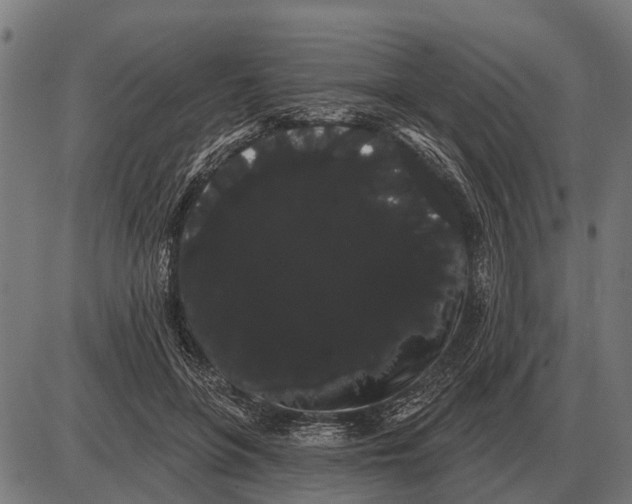 X0000085040551200703261315