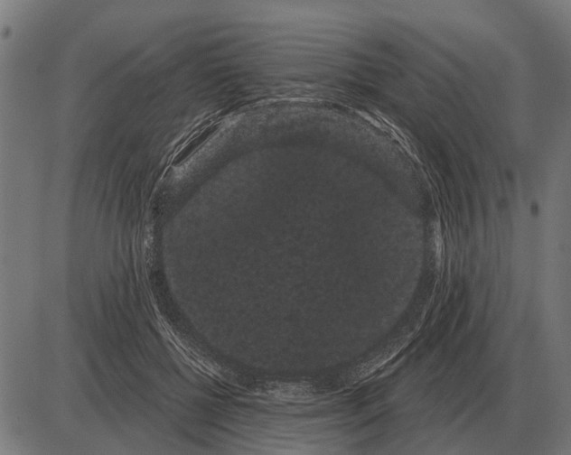 X0000085040552200703261315