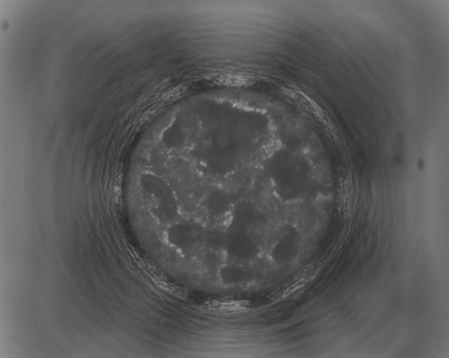 X0000085040553200703261315