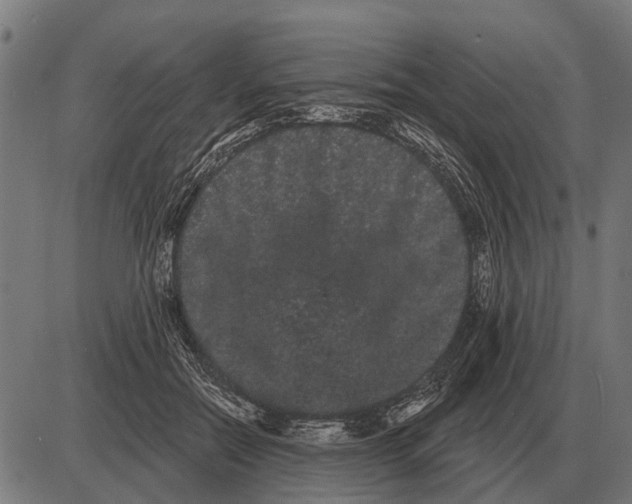 X0000085040554200703261315