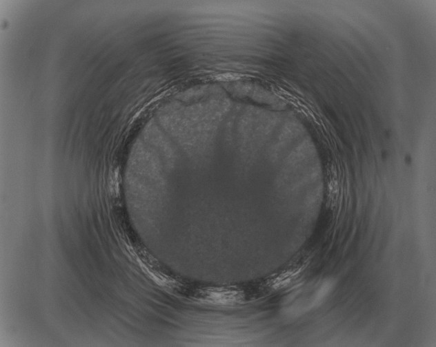 X0000085040555200703261315
