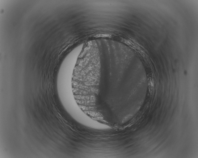 X0000085040556200703261315