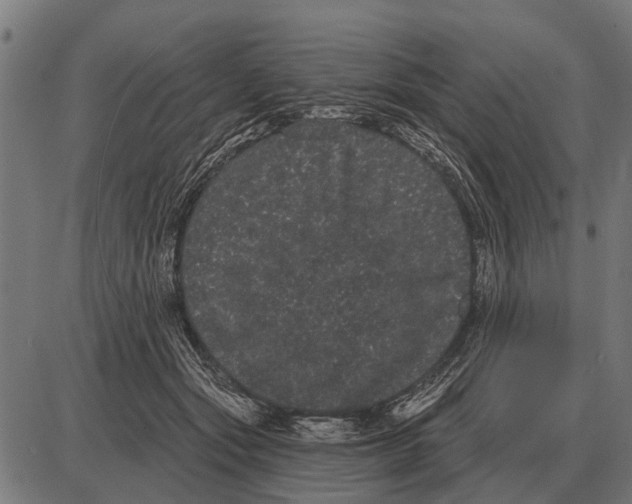 X0000085040557200703261315