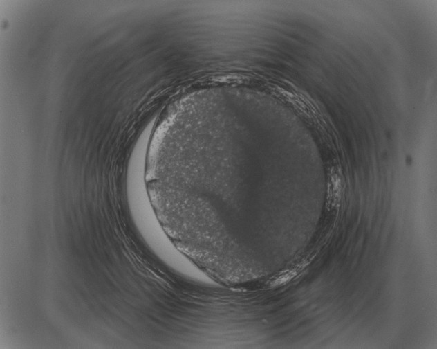 X0000085040558200703261315